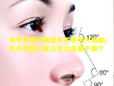 和布克赛尔绣眉手术费用大揭秘(和布克赛尔蒙古自治县属于哪个 🌹 市)